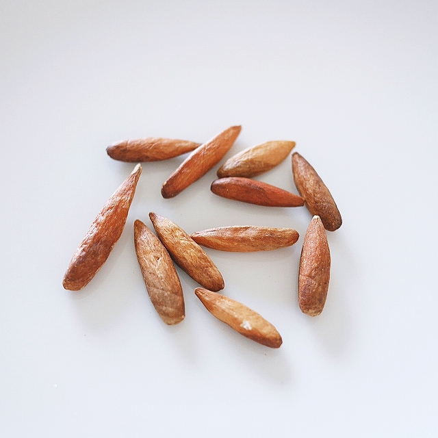 Maldive Flavour Kanamadu　トロピカルアーモンド　カナマドゥ　Terminalia catappaの口コミ