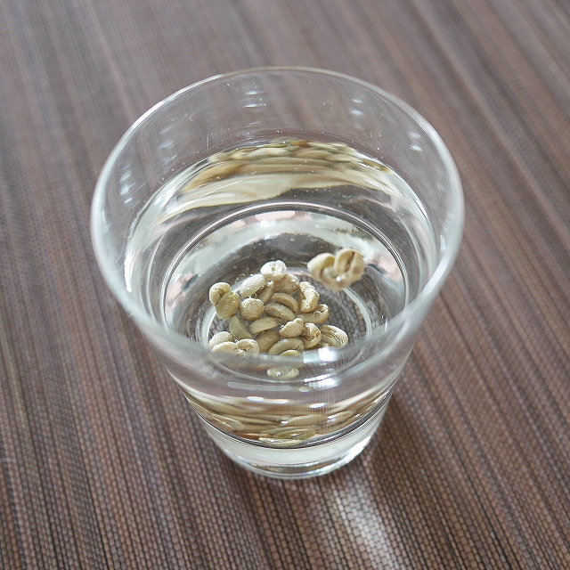 NUTRUST Green Coffee Beans Arabica AAA　グリーンコーヒー豆　生豆の口コミ